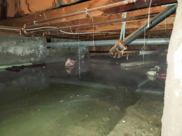 Carpet water damage restoration in Beaumont, CA