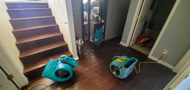 Best Water damage mitigation services  in Beaumont, CA