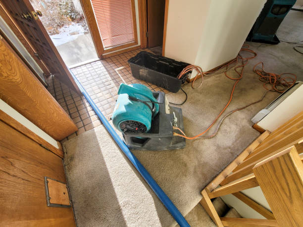Best Ceiling water damage repair  in Beaumont, CA