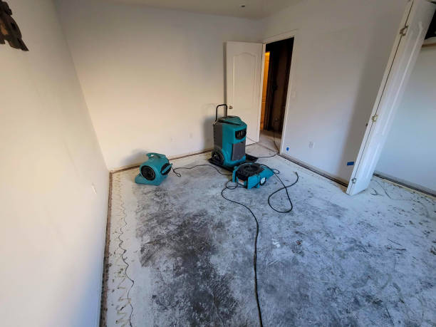 Best Commercial water damage restoration  in Beaumont, CA