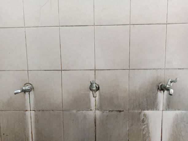 Best Flood damage cleanup  in Beaumont, CA