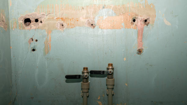 Best Residential water damage restoration  in Beaumont, CA
