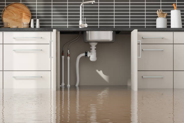Best Carpet water damage restoration  in Beaumont, CA