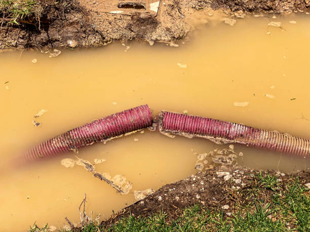 Best 24/7 water damage repair  in Beaumont, CA